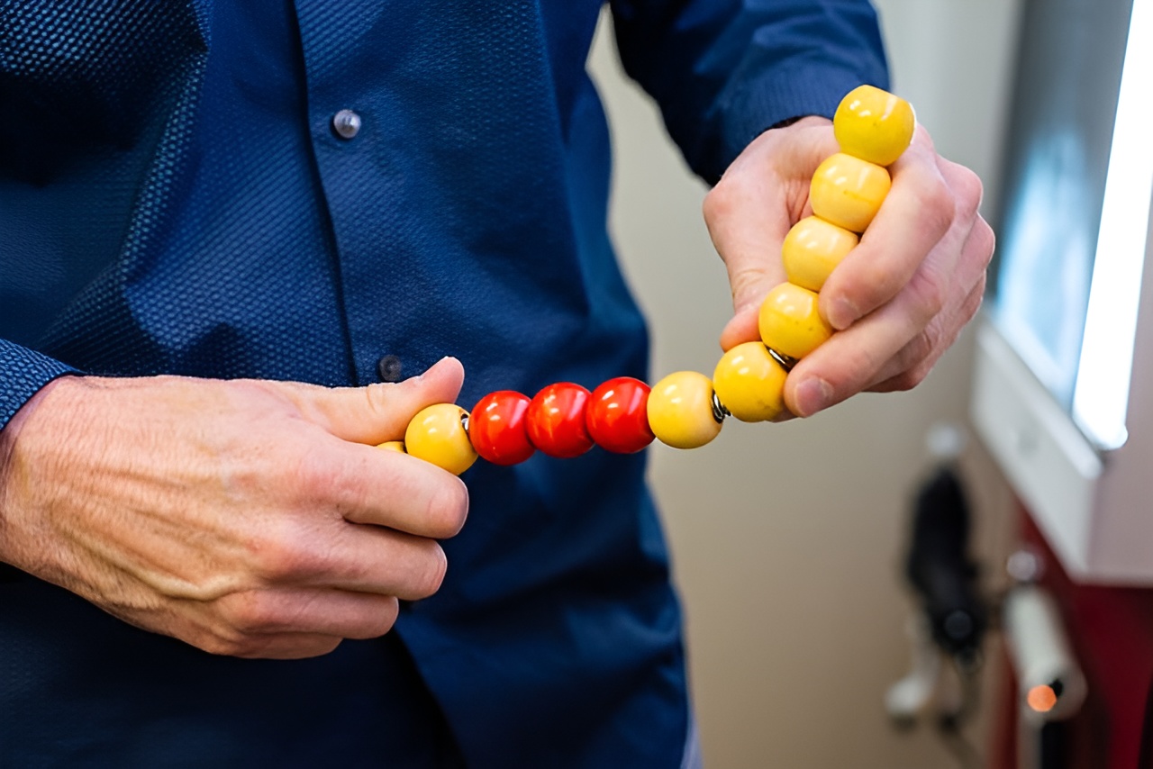 Dr. McConnell Demonstrating Spinal Curve with a model